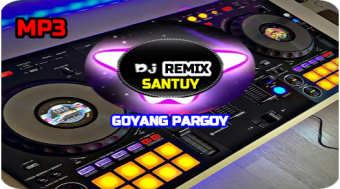 DJ Goyang Pargoy Viral