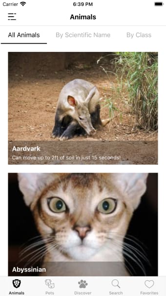 Animal Facts Animal World
