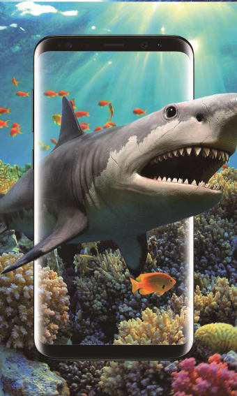 3D Shark in the Live Wallpaper