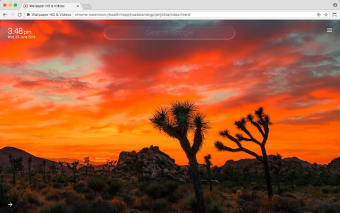 Sunset Wallpaper HD & Videos New Tab