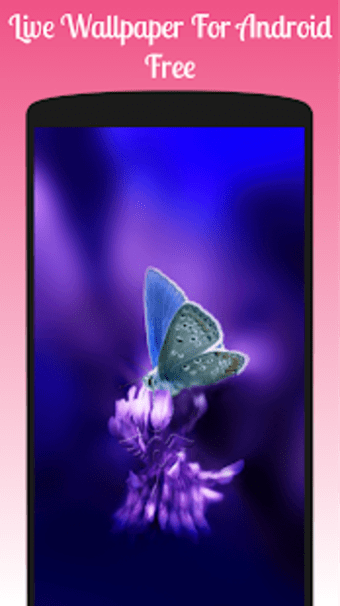 Butterflies Live Wallpaper 2019 Butterflies LWP
