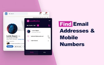 LeadRocks for LinkedIn: Profiles Scanner