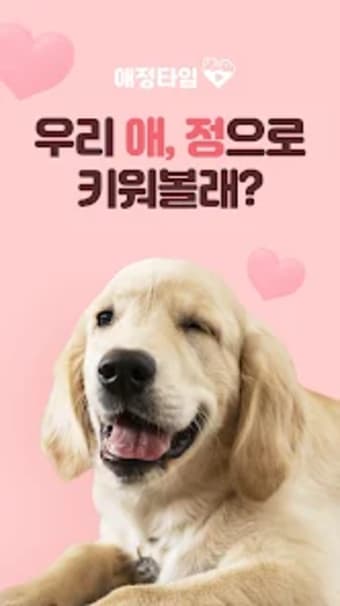 애정타임-반려동물 교육 펫시터 육아대행 SNS
