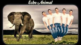 Echo Animal Effect : echo mirror with animal
