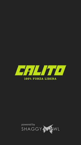 Calito - Calisthenics Torino