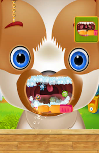 Dentist Pet Clinic Kids Games