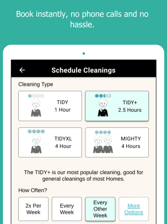 TIDY - Home Cleanings