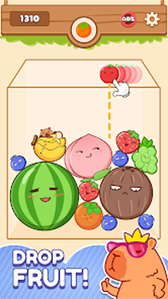 Fruits Merge: Capy Drop Master