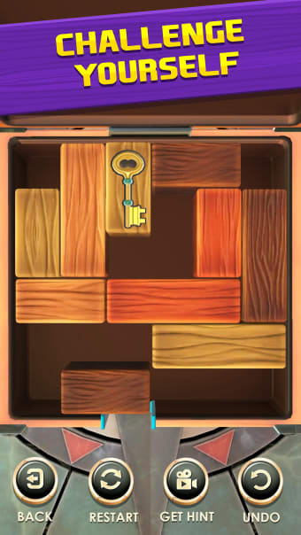 Unblock Puzzle: Slide Blocks