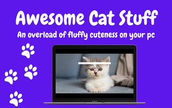 Awesome Cat Stuff