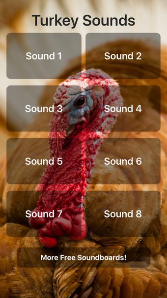 Turkey Sounds