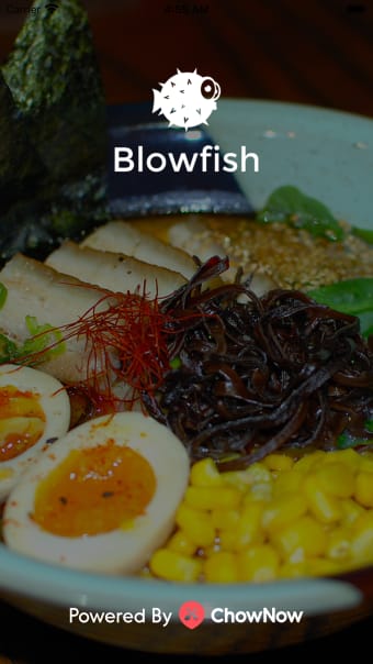 Blowfish Contemporary Sushi