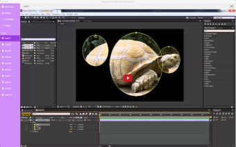 Master Class! Adobe After Effects Edition