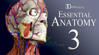 essential anatomy 3 free