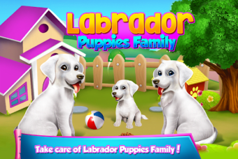 Labrador Puppies Family