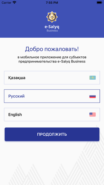 e-Salyq Business