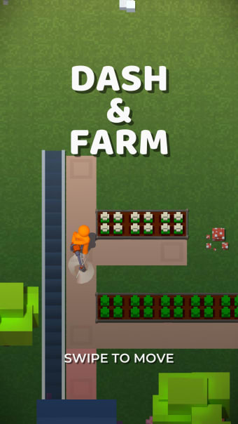 Dash and Farm