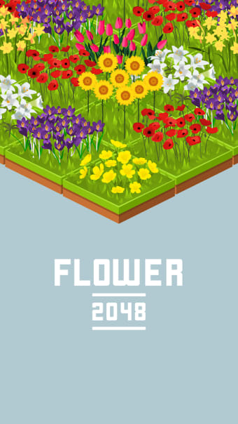 Flower 2048