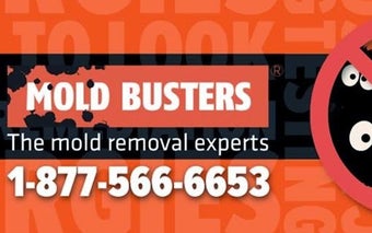 Mold Busters