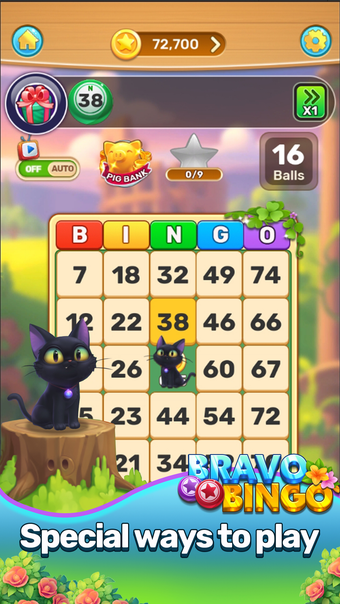 Bravo Bingo -Fun Cat Bingo