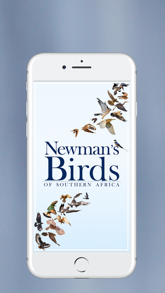 Newmans Birds of Africa