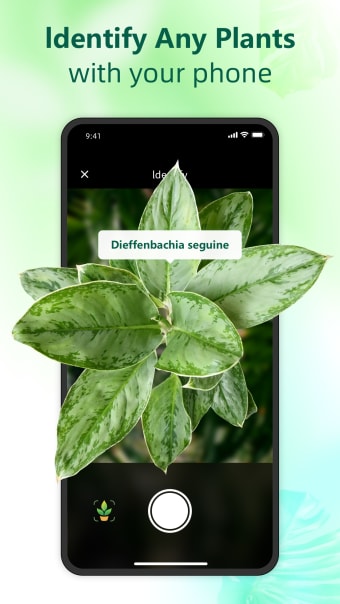 Flora Snap - Plant Identifier