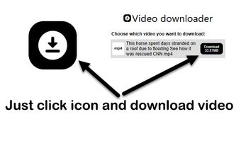 Video downloader