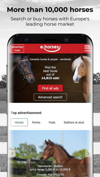 ehorses - Connects horses  people - worldwide