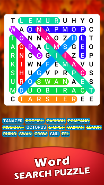 Word Search - Game