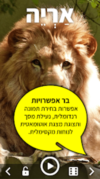 לימוד חיות לילדים בעברית