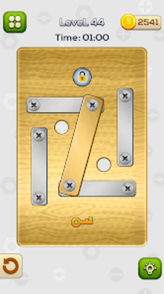 Screw Nuts  Bolts Puzzle Game