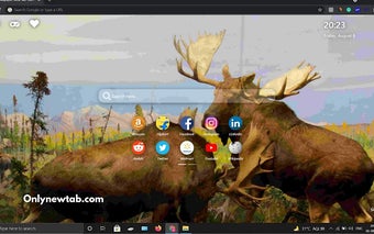 Moose Wallpaper New Tab Theme