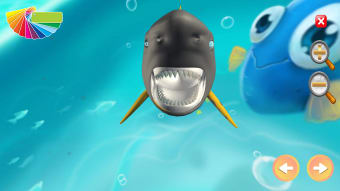 Shark World - Coloring Games