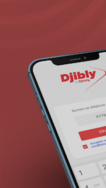 DJIBLY PoS