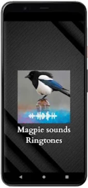Magpie sounds Ringtones