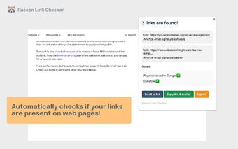 Racoon SEO Link Checker