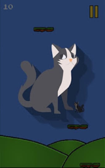 Jumper Cat - Kucing Loncat