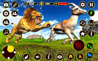 Lion Family King Simulator