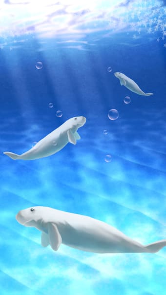 Aquarium dugong simulation