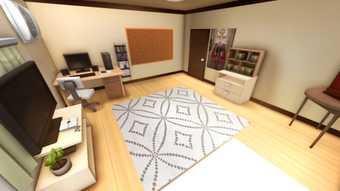 yan sim home basement