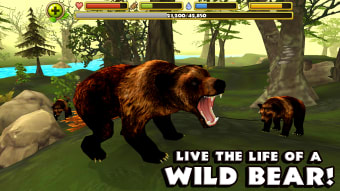 Wildlife Simulator: Bear