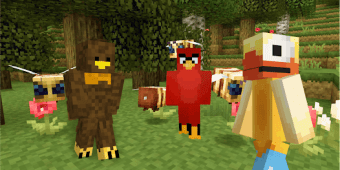 Bird Skins for Minecraft