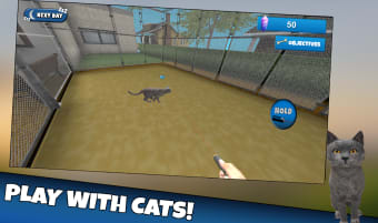 Cat Shelter Simulator 3D
