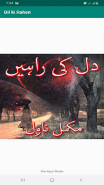 Dil ki Rahen Urdu Novel