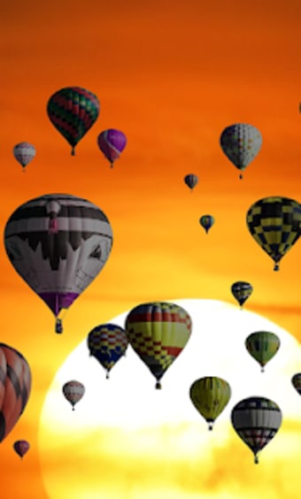 Hot Air Balloons Jigsaw Puzzle without Internet