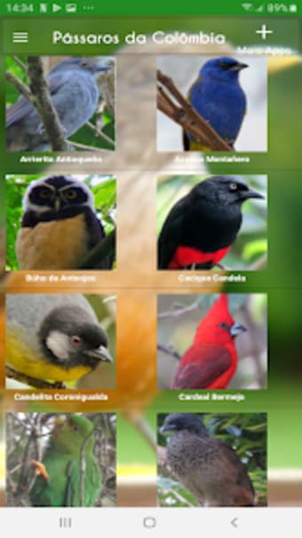 Cantos de Pássaros da Colômbia