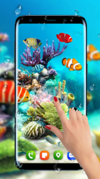 Aquarium fish live wallpapers