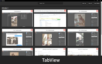 TabView