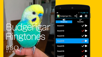 Budgerigar Ringtones