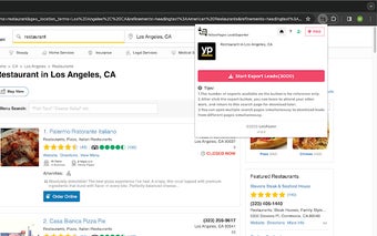 YellowPages Lead Exporter